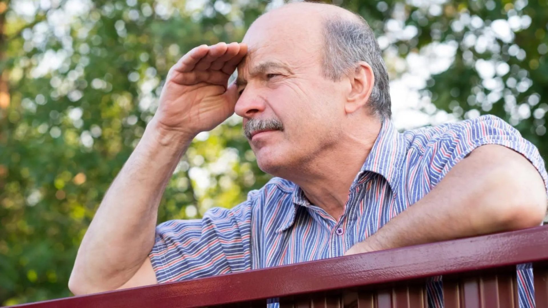 Homeowner Frustrated by Elderly Neighbor's Constant Surveillance
