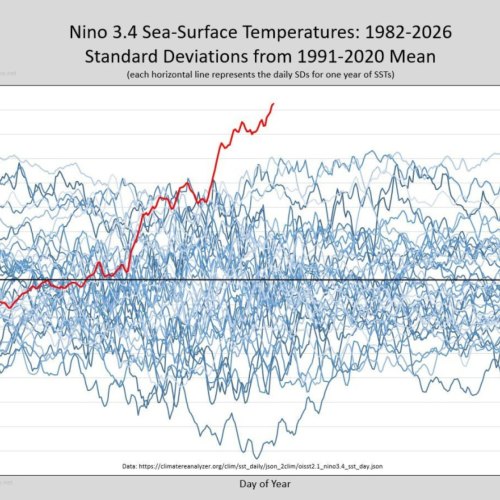 Understanding How Climate Change Affects Our Food Choices