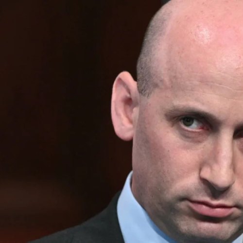 Stephen Miller Unleashes the Apocalypse on Fox News Over Michigan Primary